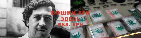 spice Верея