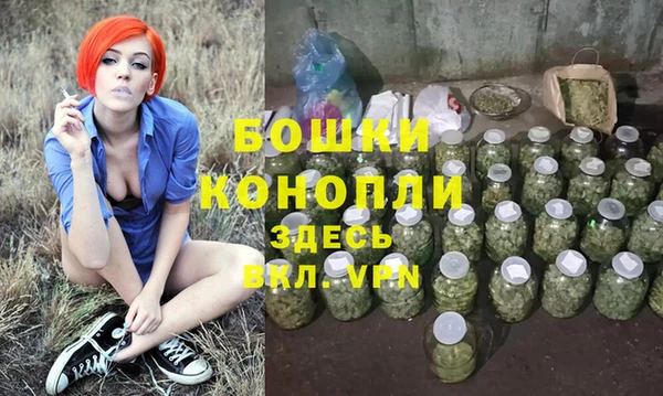 spice Верея