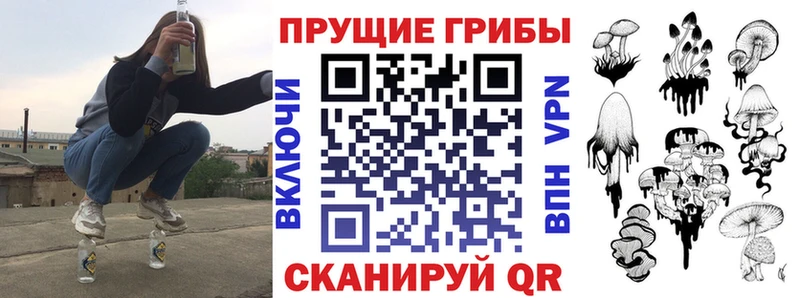 Псилоцибиновые грибы мицелий  Иннополис 